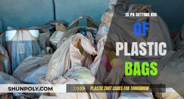 Pennsylvania's Plastic Bag Ban: What You Need to Know