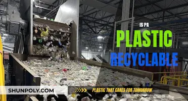 PA Plastic: Is It Recyclable?