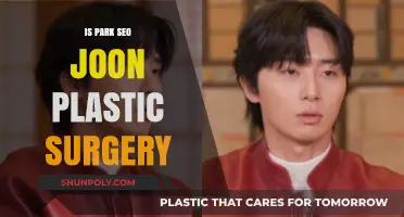 Park Seo Joon Plastic Surgery: Fact or Fiction?