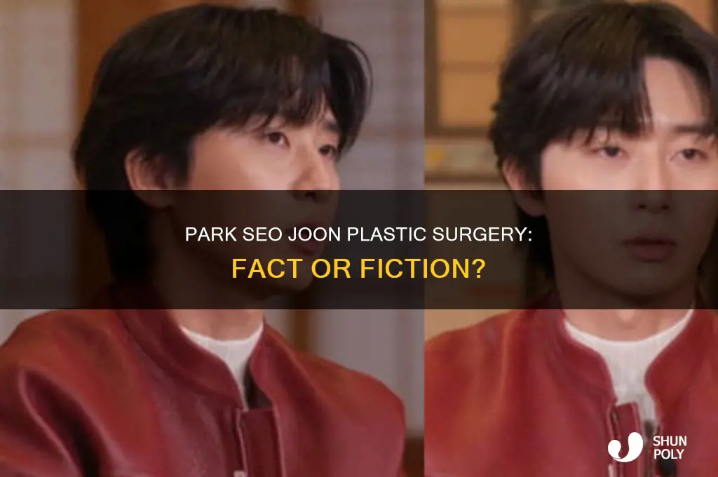 is park seo joon plastic surgery