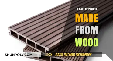 Is Wood a Hidden Ingredient in Plastic Production?