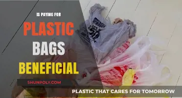 Are Paid Plastic Bags Eco-Friendly or Just a Costly Trend?