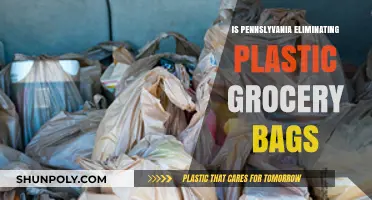 Pennsylvania's Push to Ban Plastic Grocery Bags: What's Next?