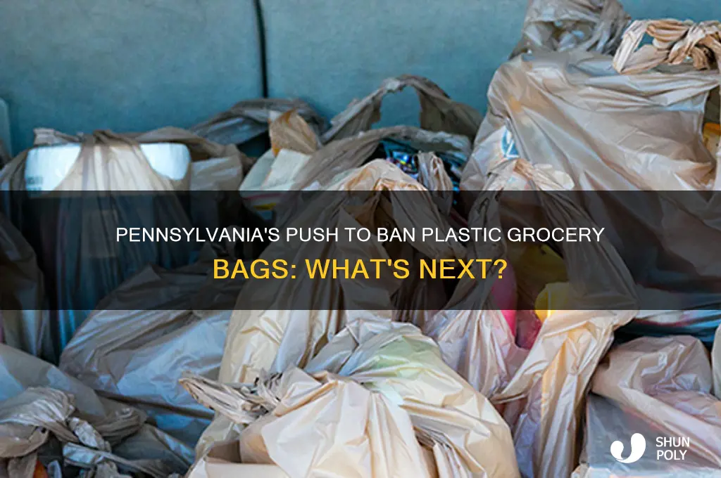 is pennslyvania eliminating plastic grocery bags