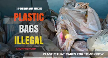 Pennsylvania's Plastic Bag Ban: What You Need to Know