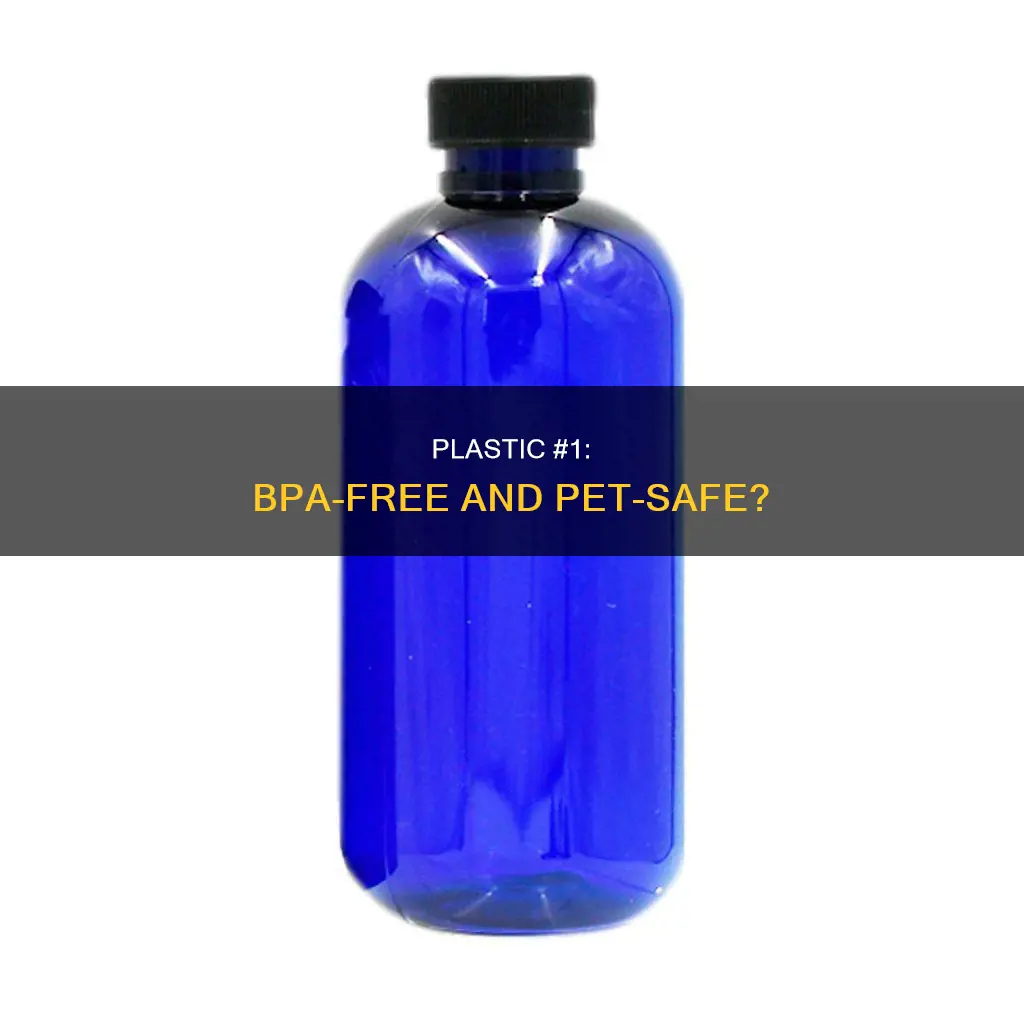 is pet 1 plastic bpa free