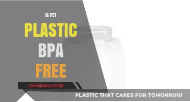 Decoding Pet Plastics: The Truth About BPA-Free Options