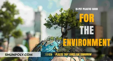 The Eco-Friendly Truth About PET Plastic