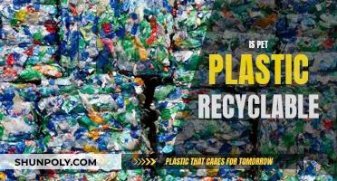 Unraveling the Mystery: Can Pet Plastic Be Recycled?