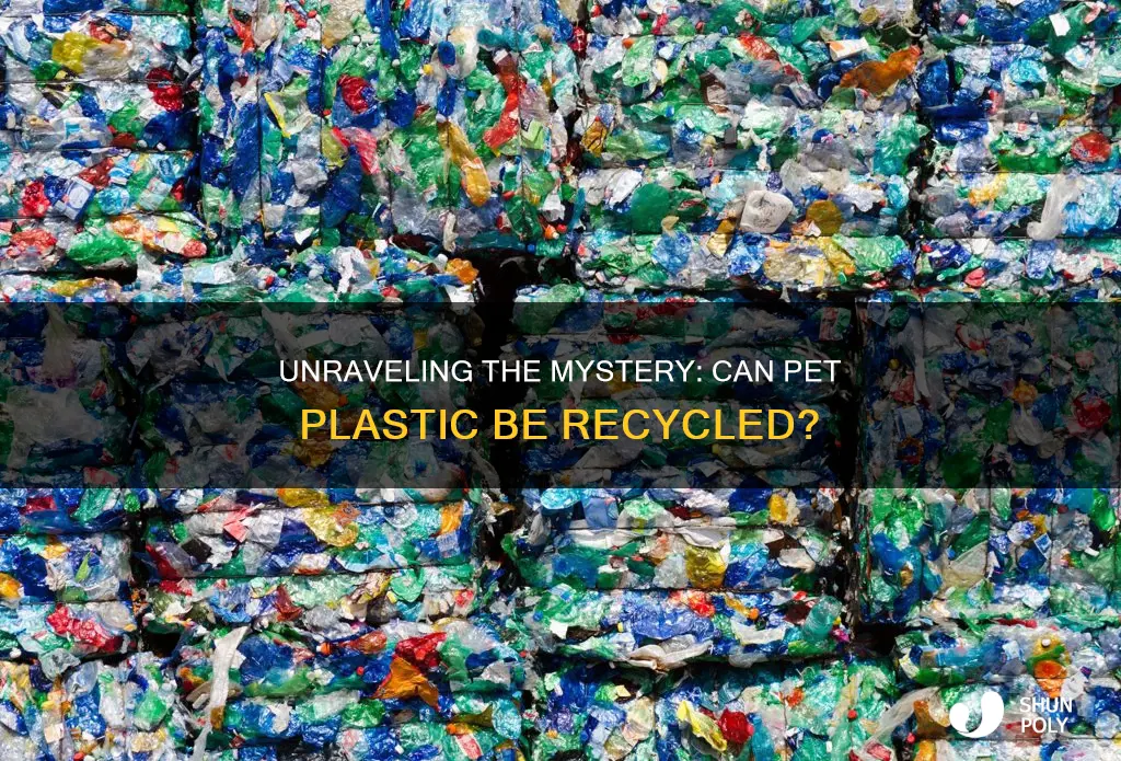 is pet plastic recyclable