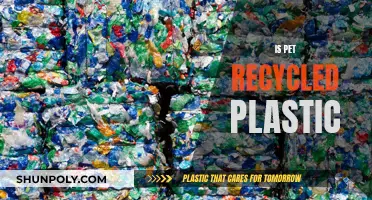 The Green Pet Owner's Guide: Recycled Plastic