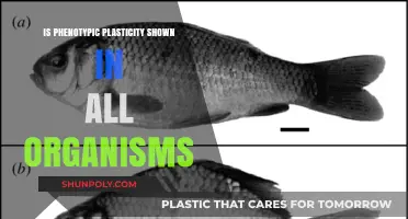 Phenotypic Plasticity: Universal or Unique?