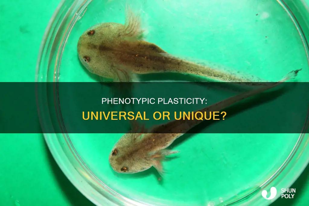 is phenotypic plasticity shown in all organisms