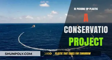 Plastic Pick-up: A Conservation Project?