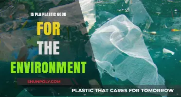PLA Plastic: Eco-Friendly or Greenwashing?