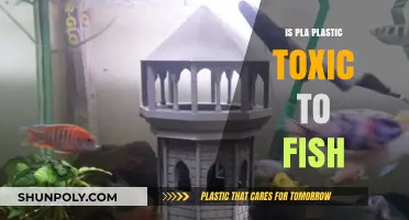PLA Plastic: Toxic Threat to Fish?