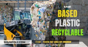 Plant-Based Plastic: Truly Recyclable or Greenwashing?