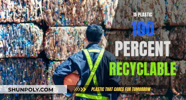 Recycling Plastic: Is It Truly Possible to Recycle It All?