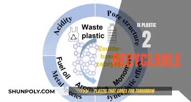 Unraveling the Mystery: Can Plastic 2 Be Recycled?