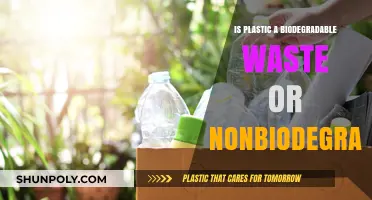 Plastic Waste: Biodegradable or Not?