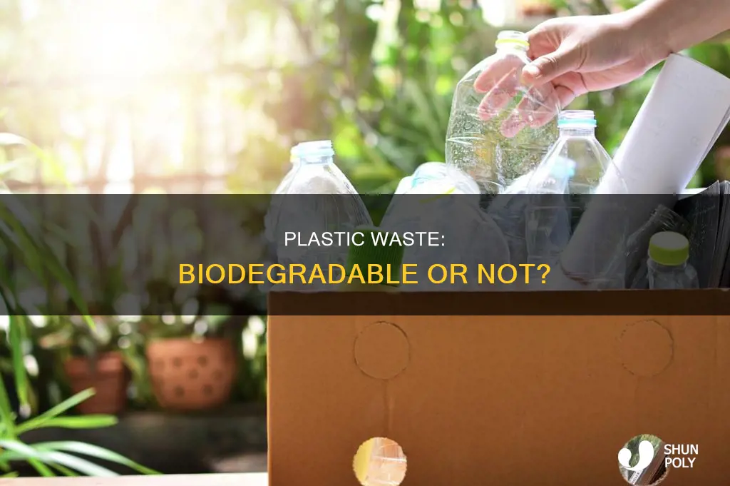 is plastic a biodegradable waste or nonbiodegradable