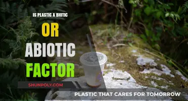 Plastic's Place in Nature: Biotic or Abiotic?