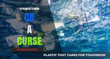 Plastic: A Double-Edged Sword