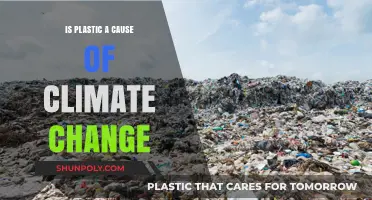 Plastic's Climate Impact: Understanding the Environmental Cost