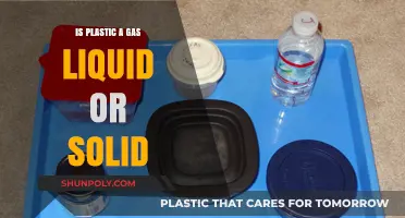 Plastic States: Liquid, Solid, or Gas?