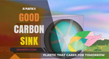 Plastic's Surprising Role: A Carbon Sink?