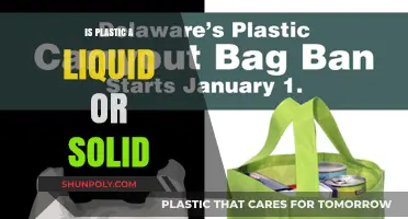 Plastic State: Liquid or Solid?