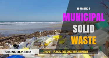 Plastic Waste: Understanding Municipal Solid Waste Management
