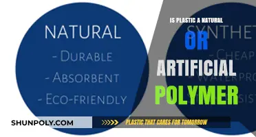 Plastic: Natural or Artificial Polymer?