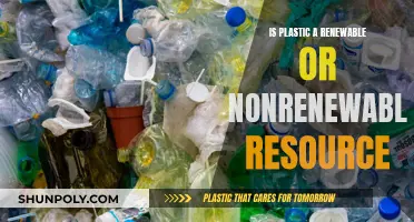 The Plastic Paradox: Renewable or Nonrenewable Resource?