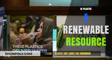 The Renewable Resource Debate: Is Plastic a Sustainable Choice?