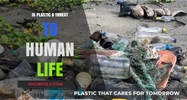 Plastic's Threat: How Dangerous is it to Humans?