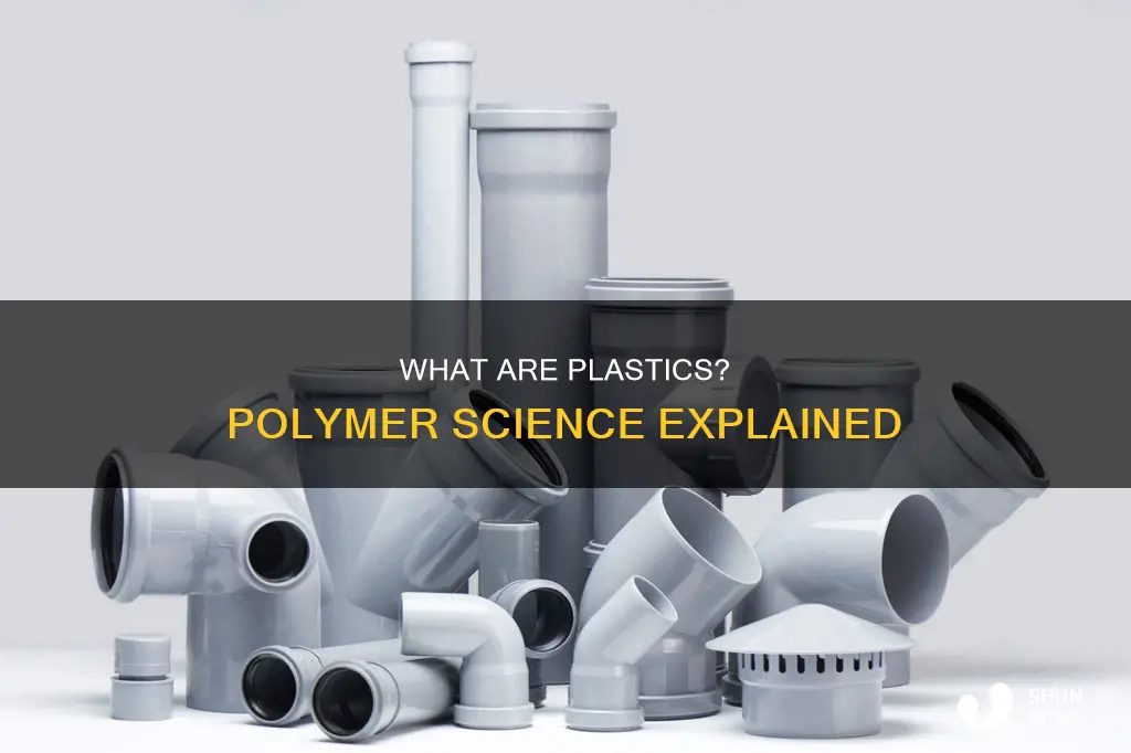 is plastic a type of polymer