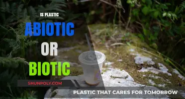 Exploring the Environmental Enigma: Is Plastic Abiotic or Biotic?