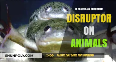 Plastic's Impact: Endocrine Disruptors in Animals