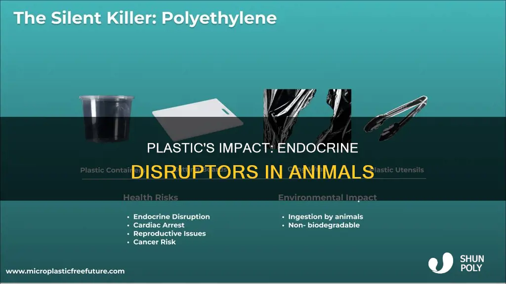 is plastic an endocrine disruptor on animals
