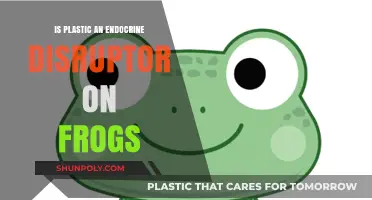 Plastic's Impact: Frogs' Endocrine Disruption Mystery