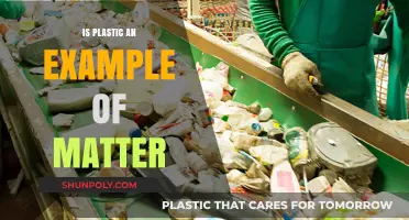 The Many Forms of Plastic: Understanding Matter
