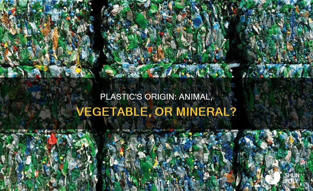 is plastic animal vegetable or mineral