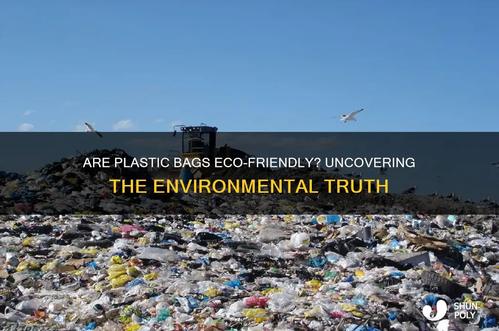 is plastic bag eco friendly