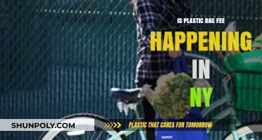 NY's Plastic Bag Fee: What You Need to Know Now