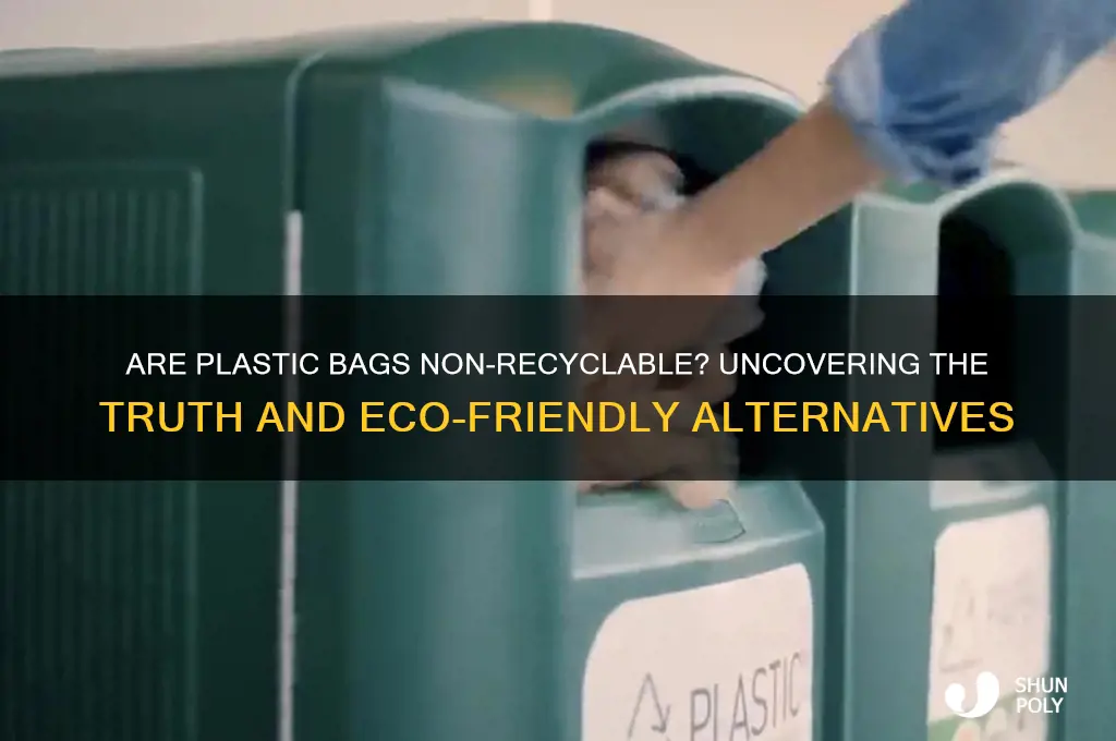 is plastic bag non recyclable