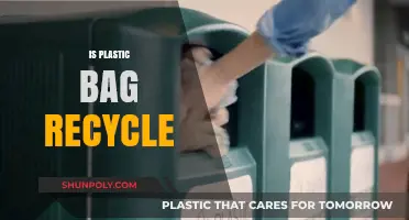 Can Plastic Bags Be Recycled? Uncovering the Truth and Eco-Friendly Alternatives