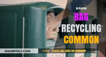 Is Plastic Bag Recycling Common? Exploring the Reality and Challenges