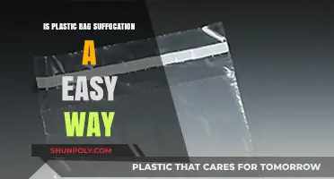 Plastic Bag Suffocation: A Dangerous Myth Debunked and Explained