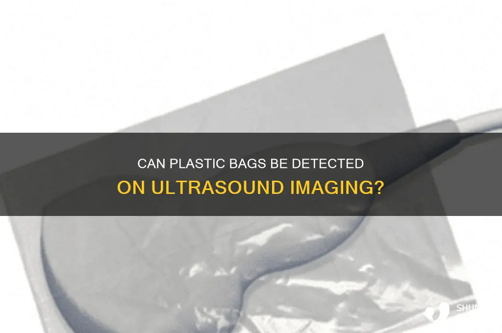 is plastic bag visible on ultrasound